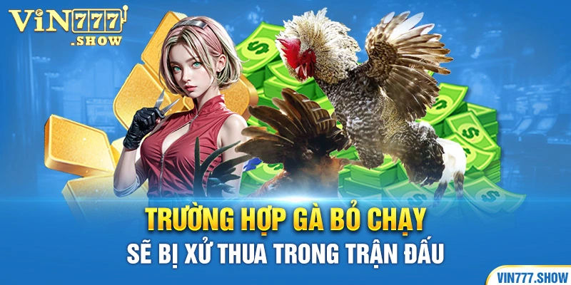 Trường hợp gà bỏ chạy sẽ bị xử thua trong trận đấu 